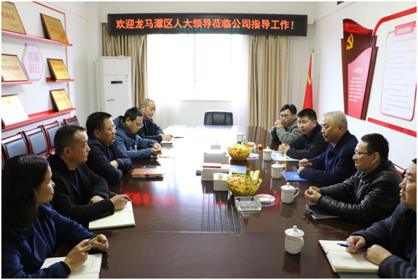 龍馬潭區(qū)人大主任黃月桂蒞臨公司調(diào)研指導